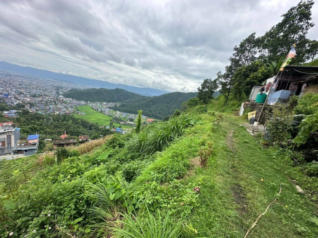 WhatsApp_Image_2025-07-29_at_3.59.12_PM_1