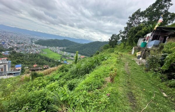 WhatsApp_Image_2025-07-29_at_3.59.12_PM_1