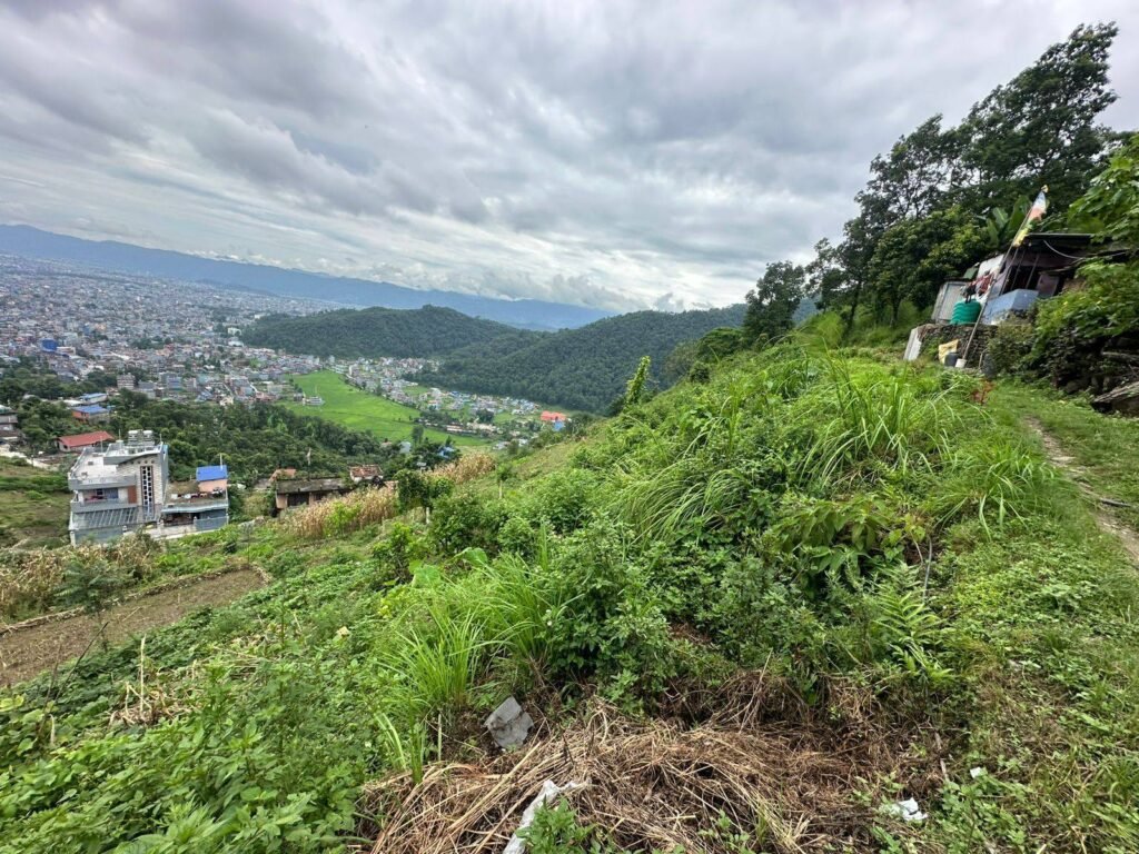 WhatsApp_Image_2025-07-29_at_3.59.13_PM