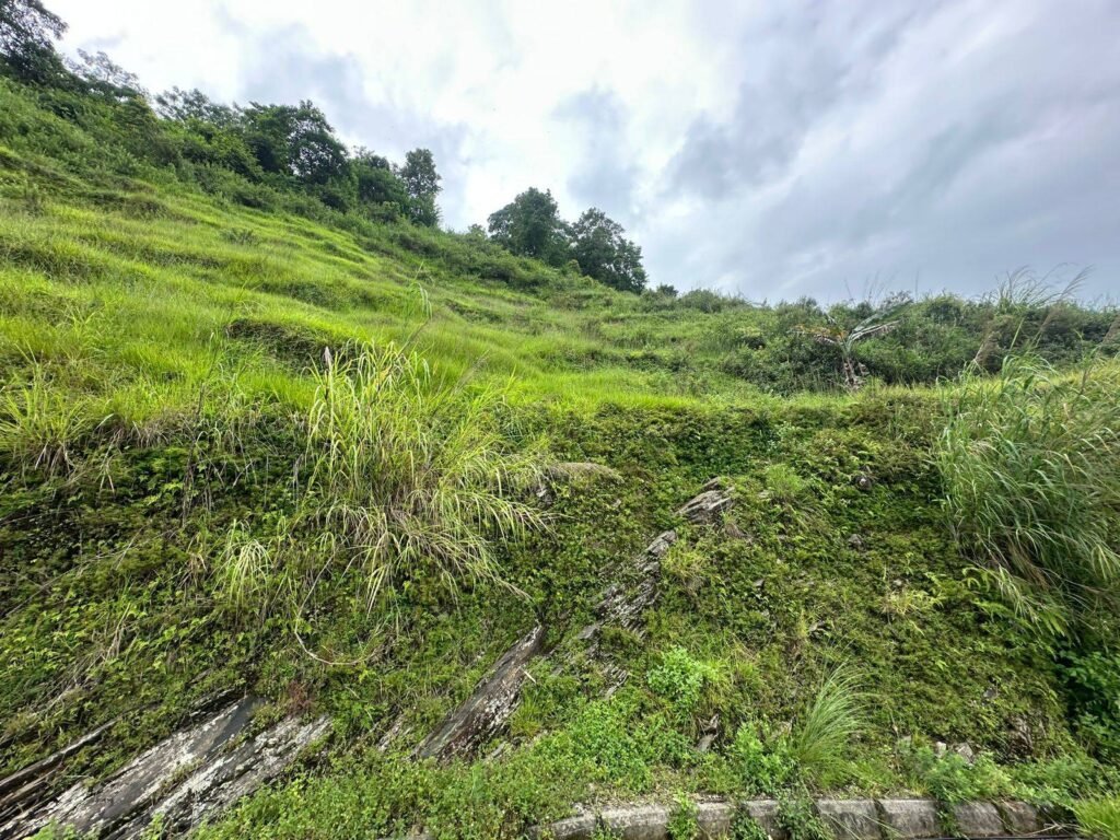 WhatsApp_Image_2025-07-29_at_3.59.14_PM