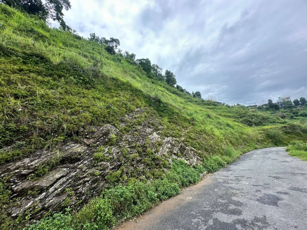 WhatsApp_Image_2025-07-29_at_3.59.15_PM_1